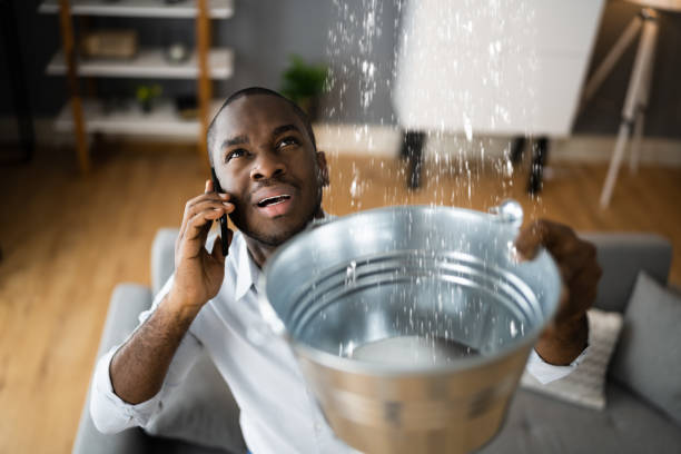 Best Flood restoration services  in Mount Zion, GA