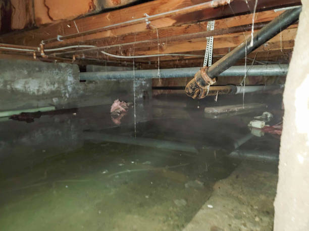 Best 24-hour water damage restoration  in Mount Zion, GA