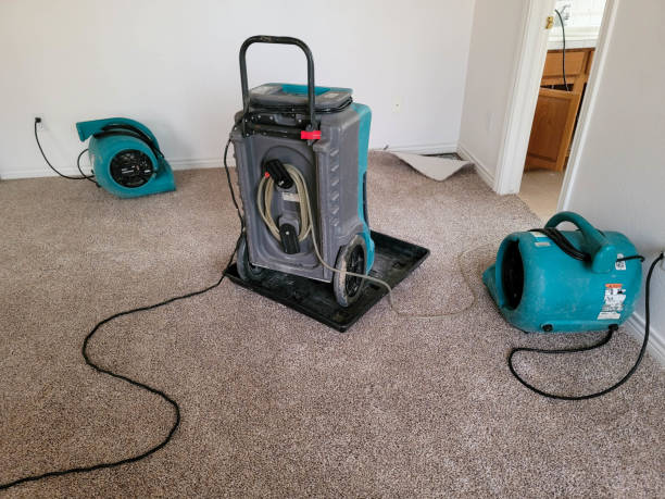 Best Water damage restoration company  in Mount Zion, GA
