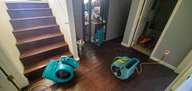 Best Flooded house restoration  in Mount Zion, GA