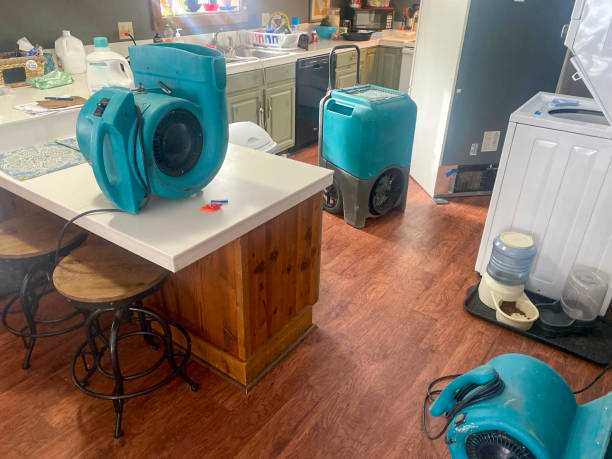  Mount Zion, GA Water damage restoration Pros