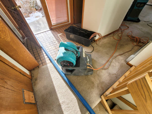 Best Water damage restoration near me  in Mount Zion, GA