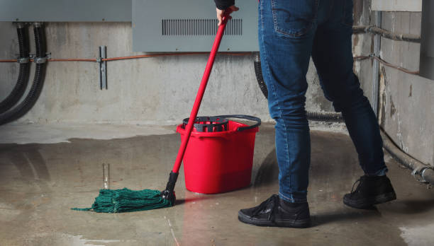 Best Basement water damage restoration  in Mount Zion, GA