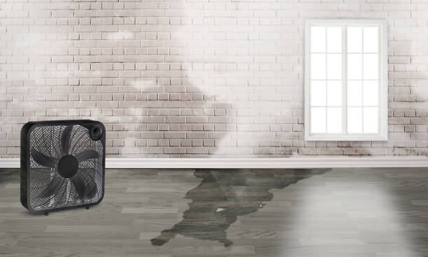 24/7 water damage repair in Mount Zion, GA