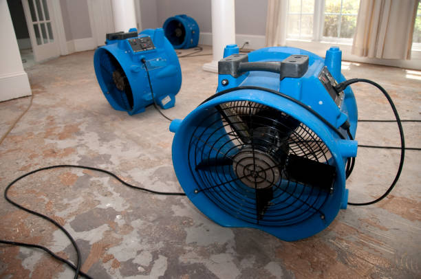 Best Flood damage cleanup  in Mount Zion, GA