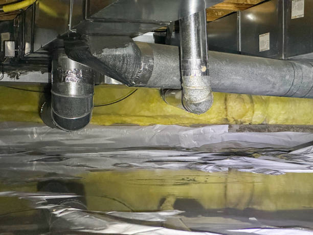 Best Sewage cleanup and water damage restoration  in Mount Zion, GA