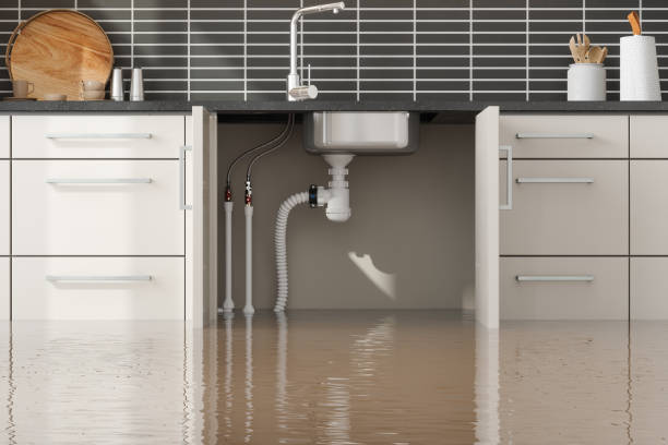 Best Sewage cleanup and water damage restoration  in Mount Zion, GA