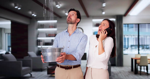 Best Water damage cleanup near me  in Mount Zion, GA