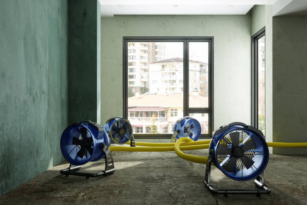 Best Water damage cleanup near me  in Mount Zion, GA