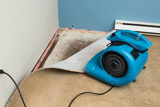 Carpet water damage restoration in Mount Zion, GA